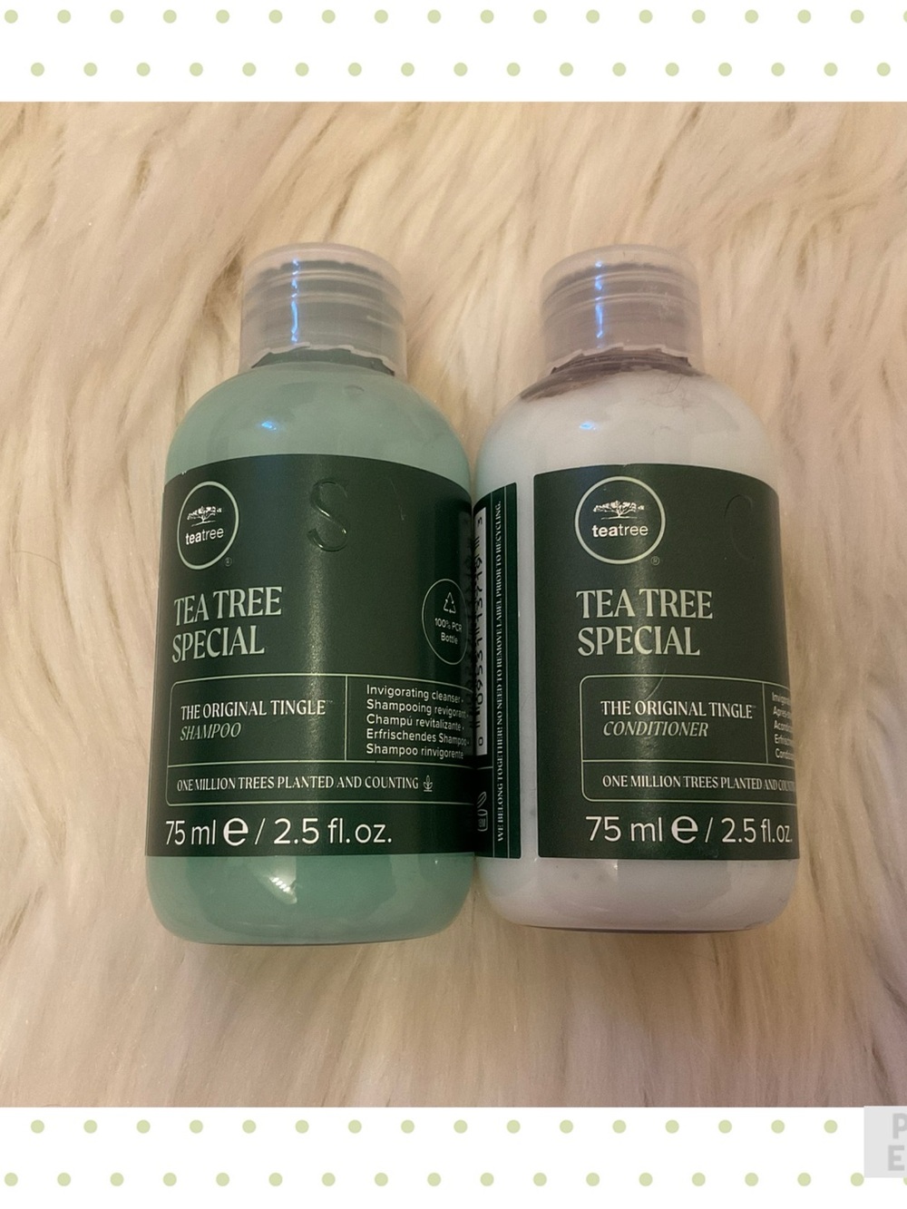 Paul Mitchell Tea Tree Special The Original Tingle Shampoo & Conditioner - New